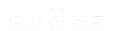 ��ǨAI�Ż�